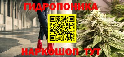 дмт Бузулук