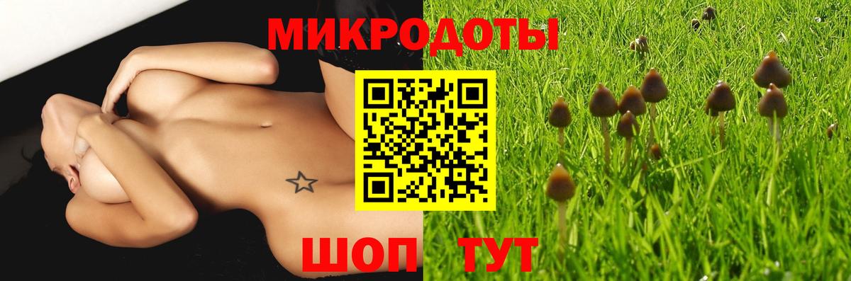 Печора  Галлюциногенные грибы мухоморы  Псилоцибиновые грибы Psilocybe  Вход с VPN 